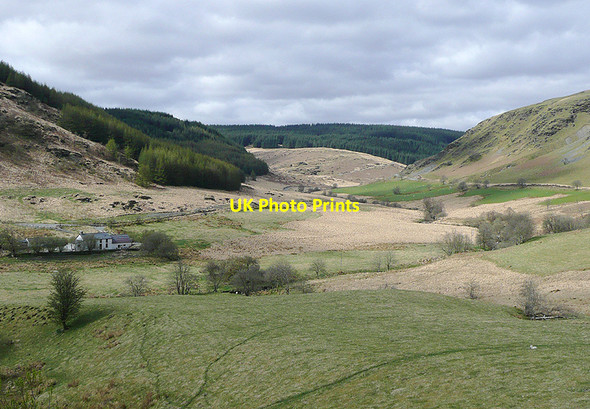 Photo 6"x4" Cwm Tywi near Dolgoch, Ceredigion Dolgoch\/SN8056 c2010