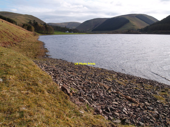 Photo 6"x4" Southern end of Loch of the Lowes Bowerhope c2010