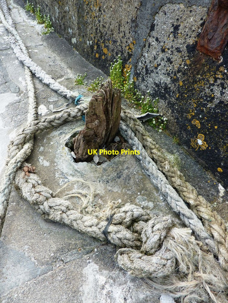 Photo 6"x4" Eroded and worn oak stump and old rope, Charlestown harbour St Austell c2010