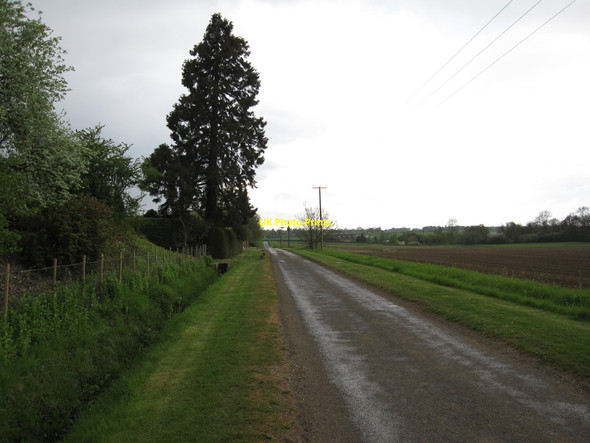 Photo 6"x4" Road past Ley Farm Ditton Green c2010