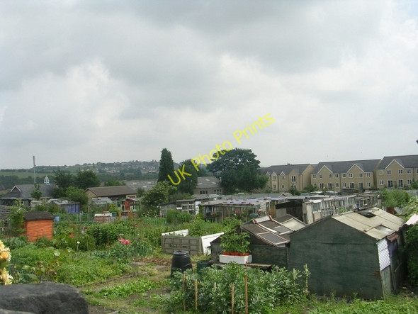 Photo 6"x4" Allotments - Waterloo Road Brighouse\/SE1423 c2009