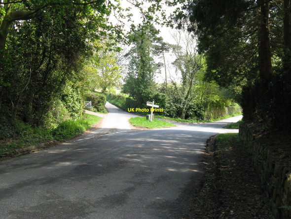 Photo 6"x4" Lane to Little London Lions Green c2010