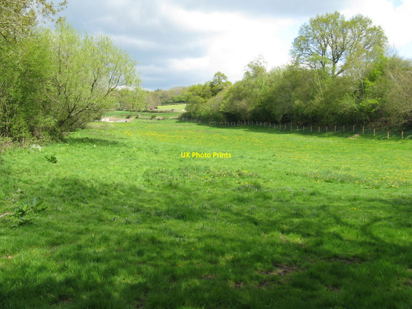 Photo 6"x4" Old pond bay north of The Furnace Lions Green c2010