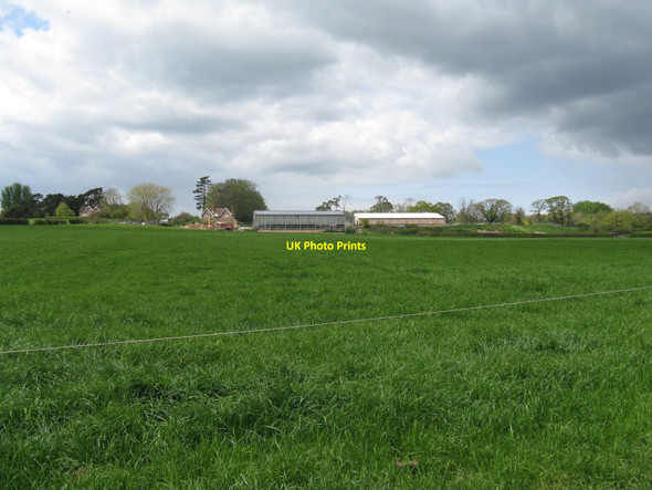 Photo 6"x4" Burnt House Farm Lions Green c2010