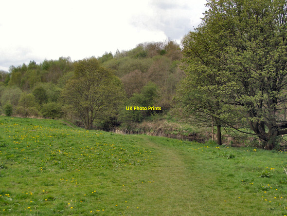 Photo 6"x4" Gristlehurst Wood Heywood\/SD8510 c2010