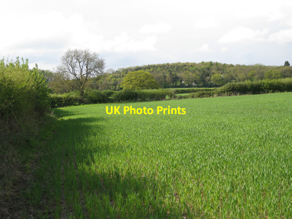 Photo 6"x4" Woodlands south of Grove Park Littleworth\/SP2363 c2010