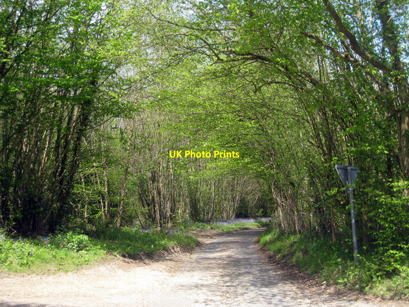 Photo 6"x4" Almshouse Road Charing Hill c2010