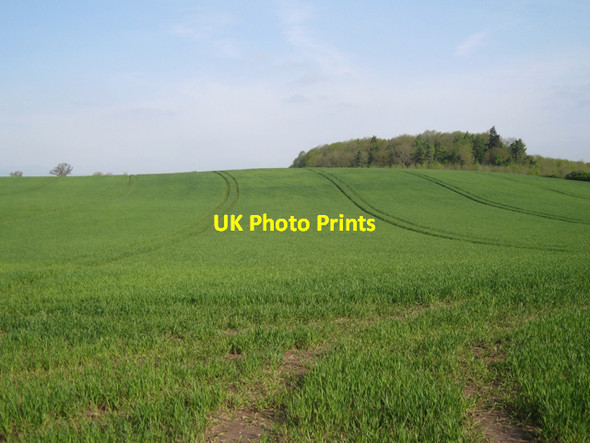 Photo 6"x4" Cropland near Horsley House Farm Littleworth\/SP2363 c2010