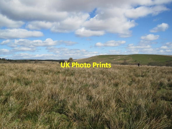 Photo 6"x4" Footpath towards Crammel Linn Gilsland\/NY6366 c2010