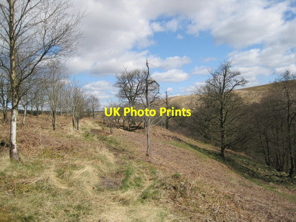 Photo 6"x4" Footpath towards Crammel Linn Gilsland\/NY6366 c2010
