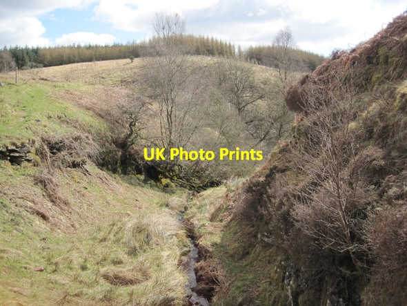Photo 6"x4" Wobiegill Sike Gilsland\/NY6366 c2010
