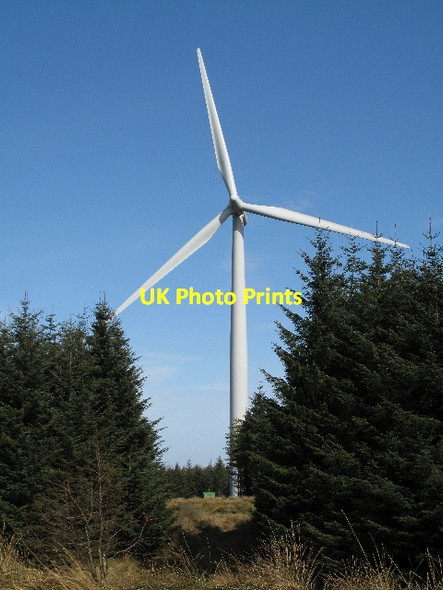 Photo 6"x4" Wind Turbine Among Trees Corse Hill\/NS5946 c2010