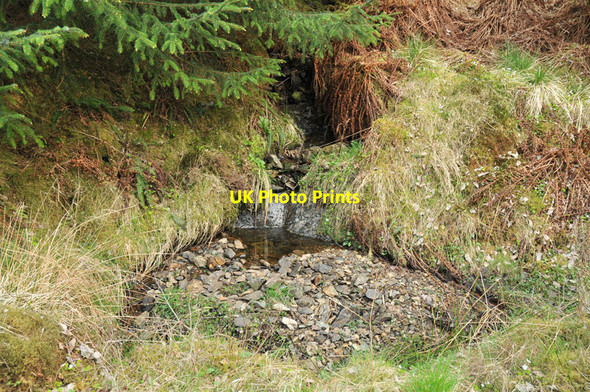 Photo 6"x4" Small stream in the forestry near Corran Inchree c2010