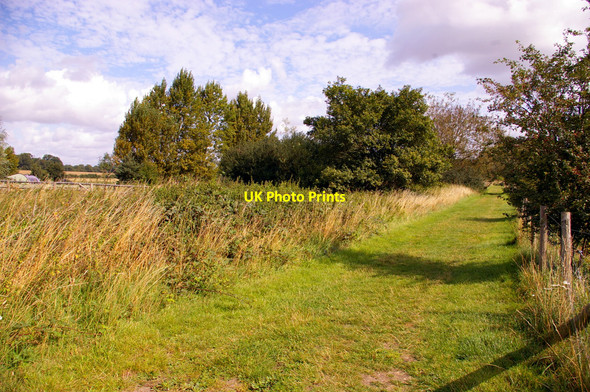 Photo 6"x4" Footpath near River Colne, London Colney London Colney c2009