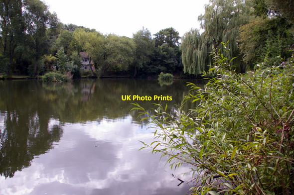 Photo 6"x4" River Colne, London Colney Broad Colney c2009 P1