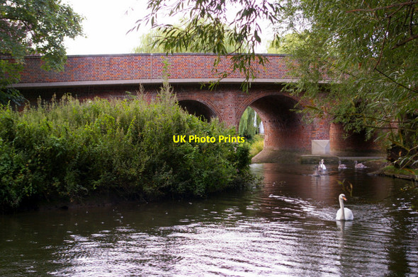 Photo 6"x4" River Colne, London Colney Broad Colney c2009