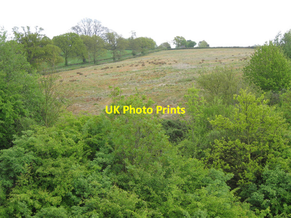 Photo 6"x4" A strangely un-green field Littleworth\/SP2363 c2010