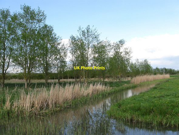Photo 6"x4" Whelpley Sewer Hailsham c2010