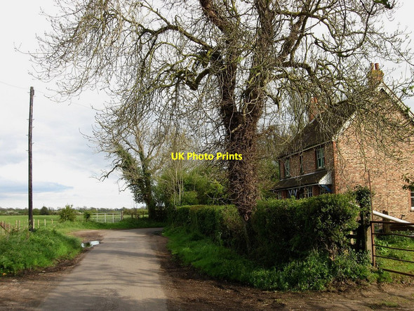 Photo 6"x4" The Lewens Hailsham c2010