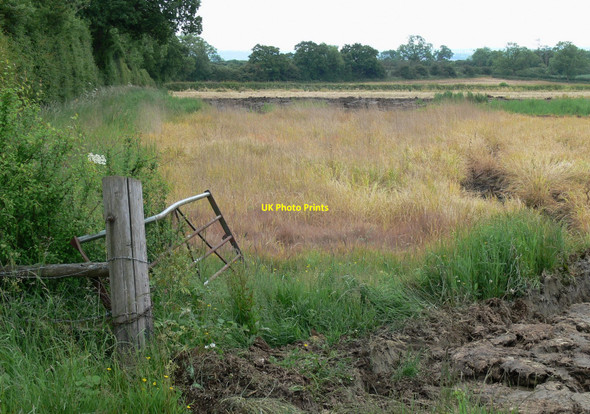 Photo 6"x4" Farmland alongside Woodfold Lane Chadwell\/SK7824 c2009