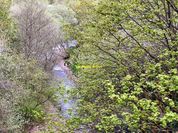 Photo 6"x4" Bradshaw Brook Bolton\/SD7108 c2010