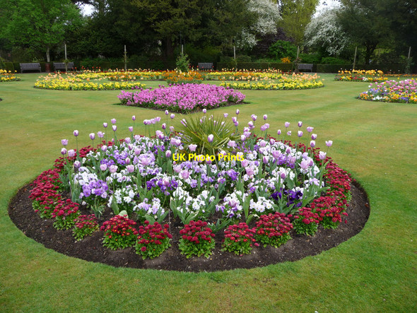 Photo 6"x4" Abbey Gardens, Bury St Edmunds, Suffolk Bury St Edmunds c2010 P1