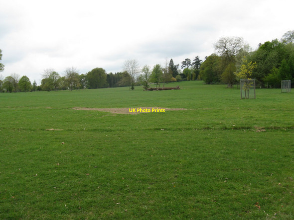 Photo 6"x4" Fallen tree on the Warnham Park Estate Horsham\/TQ1731 c2010