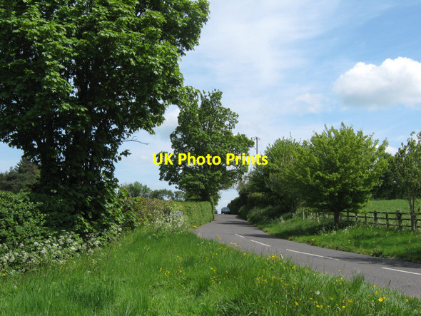 Photo 6"x4" Haydon Lane, just outside Taunton Taunton\/ST2324 c2010