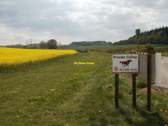 Photo 6"x4" Lytchett Matravers, gallop Combe Almer c2010