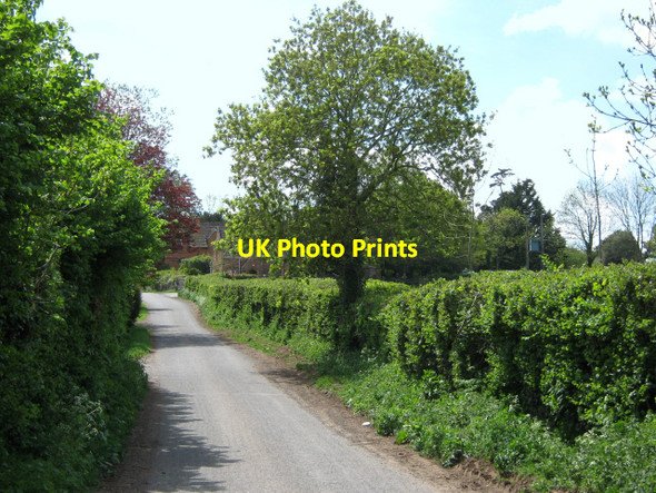 Photo 6"x4" Lane in Henlade Henlade c2010