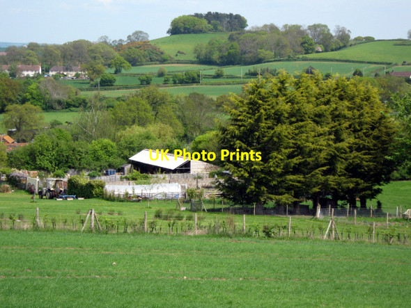 Photo 6"x4" Fields, Henlade Ash\/ST2822 c2010