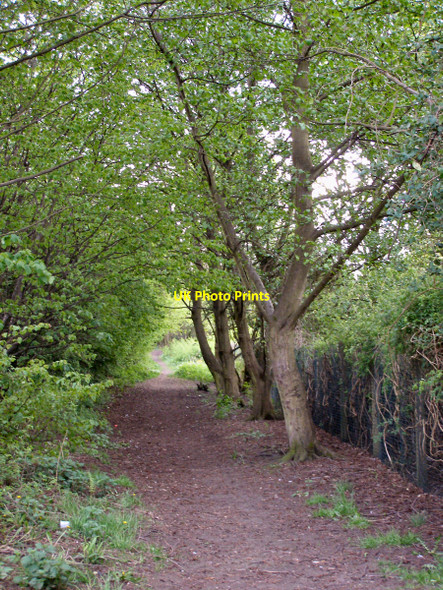 Photo 6"x4" Beal Lane Riverside Walk Shaw\/SD9308 c2010