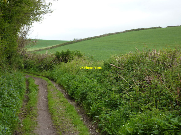 Photo 6"x4" Footpath running up from Alston Lane to Kennels Road Churston Ferrers c2010