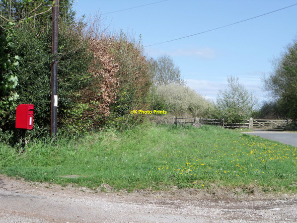 Photo 6"x4" Postbox and verge near Middle Farm, Firle, East Sussex West Firle c2010