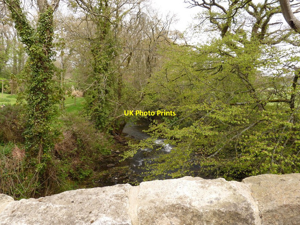 Photo 6"x4" The view downstream from Pecketsford Bridge on the river Taw Rowden\/SX6498 c2010