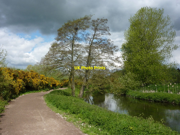 Photo 6"x4" Footpath by the River Idle Bolham\/SK7082 c2010