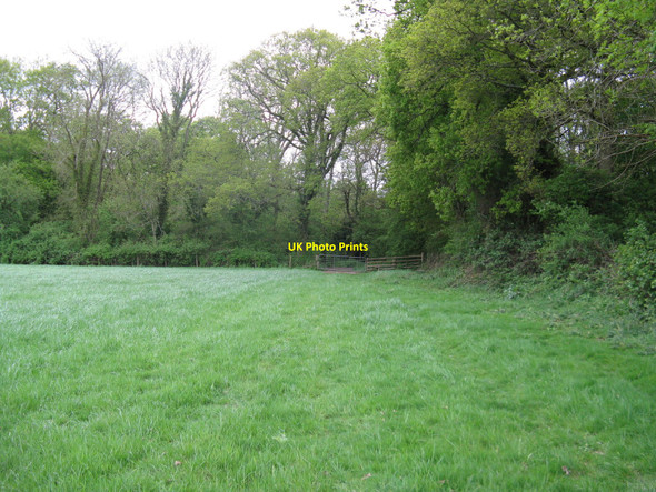 Photo 6"x4" Footpath SW to Rowhook Rowhook c2010