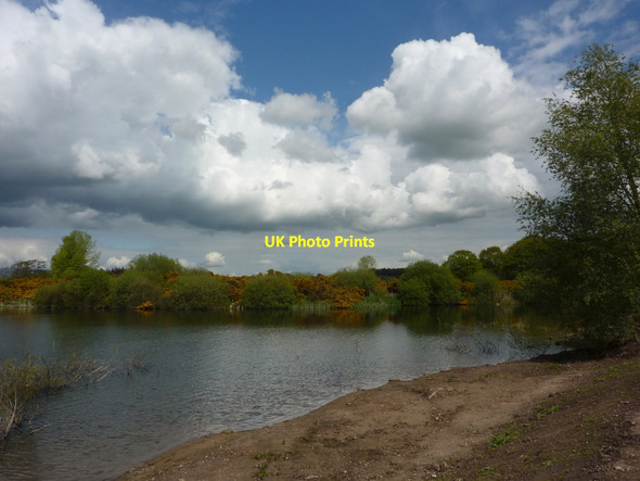 Photo 6"x4" Corner of a lake at gravel pits Bolham\/SK7082 c2010