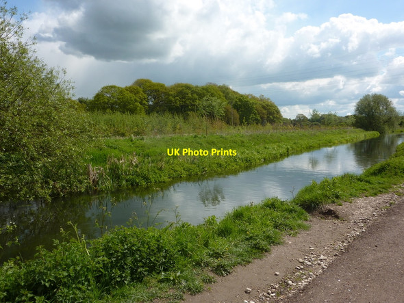 Photo 6"x4" River Idle and Bolham Wood Bolham\/SK7082 c2010