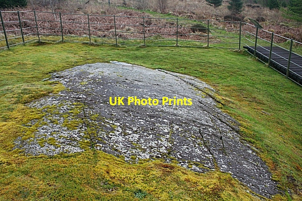 Photo 6"x4" Cup-and-Ring Marked Rocks (1) Lochgilphead c2010