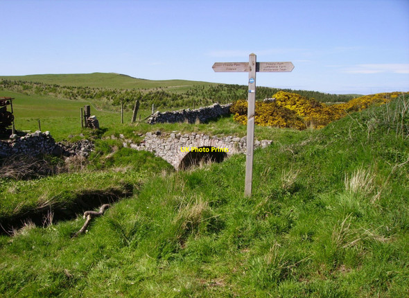 Photo 6"x4" Last coastal Path signpost Dowlaw Burn c2010