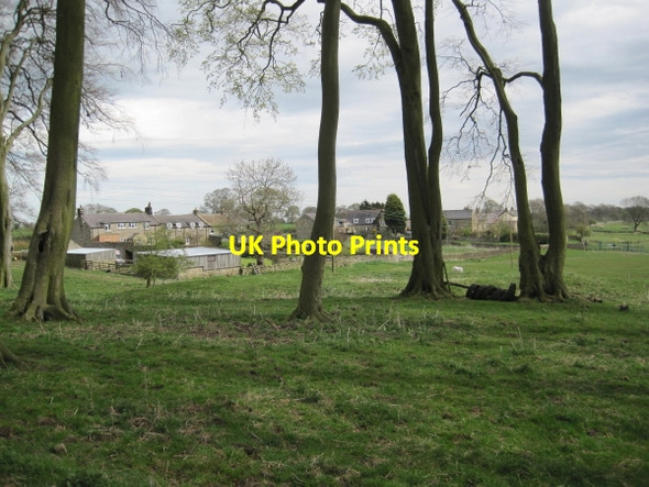 Photo 6"x4" Halton Shields Halton Shields c2010 P1