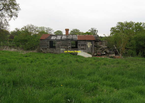 Photo 6"x4" Derelict cottage on Bailing Hill Farm Horsham\/TQ1731 c2010