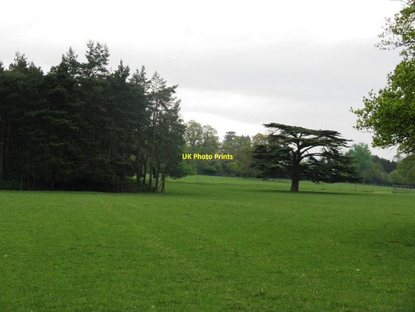 Photo 6"x4" View across deer park on the Warnham Park Estate Horsham\/TQ1731 c2010