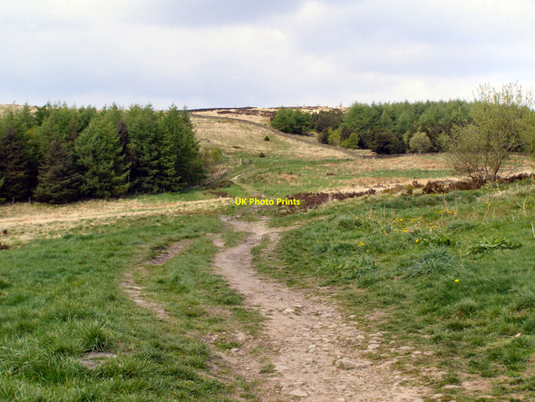 Photo 6"x4" Crompton Moor Shaw\/SD9308 c2010
