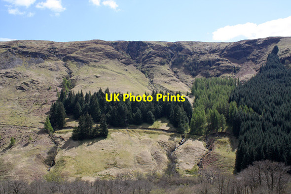 Photo 6"x4" Plantation in Glen Gloy Clunes c2010