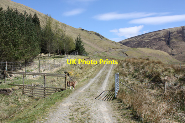 Photo 6"x4" Gate on hill track, Glen Fintaig Glen Fintaig c2010