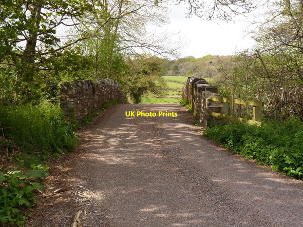 Photo 6"x4" Coldridge Bridge on the river Taw Brushford\/SS6707 c2010