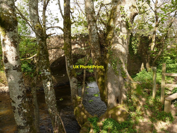 Photo 6"x4" Coldridge Bridge on the river Taw as seen from upstream Brushford\/SS6707 c2010
