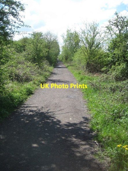 Photo 6"x4" Trans Pennine Trail 67 Wakefield\/SE3320 c2010